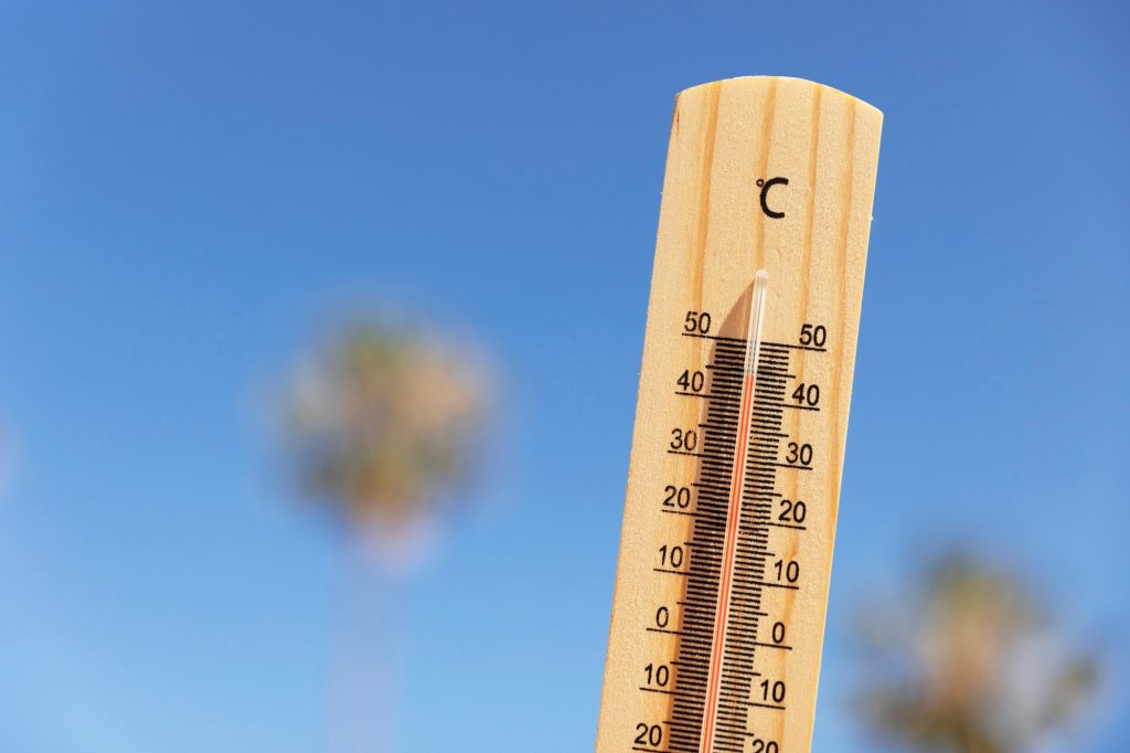 Canicule